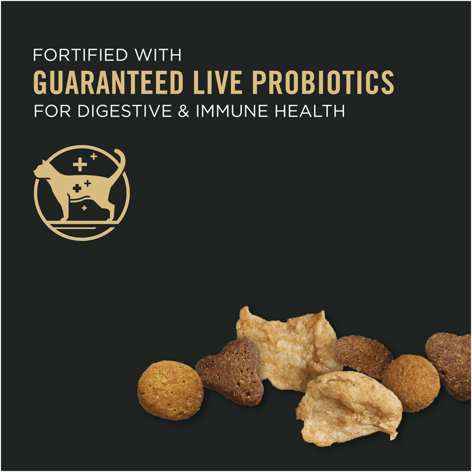 Purina Pro Plan Shredded Blend Chicken & Rice Formula With Probiotics High Protein Dry Cat Food