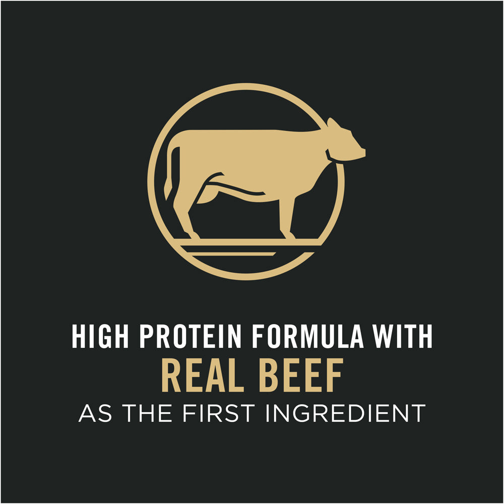 Purina Pro Plan Development Beef & Rice Formula With Probiotics High Protein Large Breed Dry Puppy Food