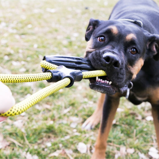 KONG Jaxx Infinity Tug Dog Toy