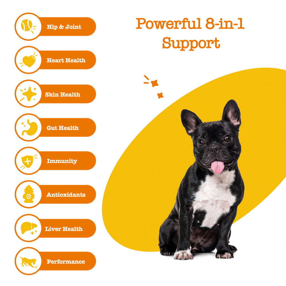 Zesty Paws 8-in-1 Multifunctional Vitamins Glucosamine Chondroitin & Probiotics Peanut Butter Flavor Soft Chews for Dogs