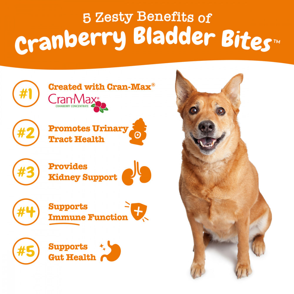 Zesty Paws Cranberry Bladder Bites, Bacon Flavor Dog Supplements